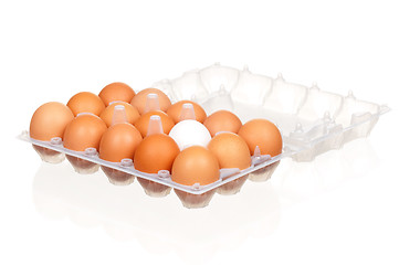 Image showing Eggs in box