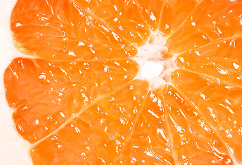 Image showing Grapefruit