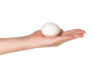 Image showing Hand with egg