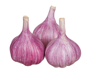 Image showing Fresh garlic