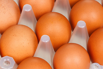 Image showing Eggs in box