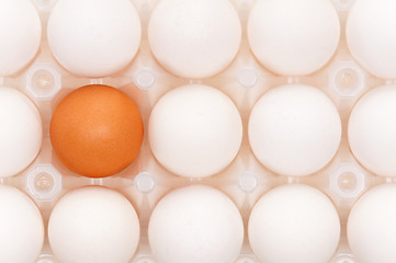 Image showing Eggs in box