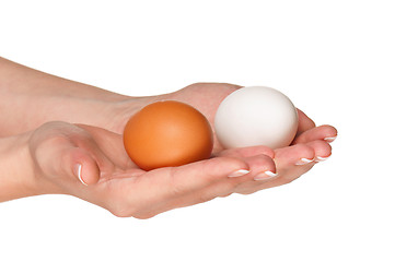 Image showing Hand with egg