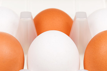 Image showing Eggs in box