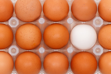 Image showing Eggs in box