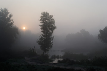 Image showing Foggy morning 1