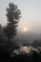 Image showing Foggy morning 2