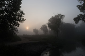 Image showing Foggy morning 3