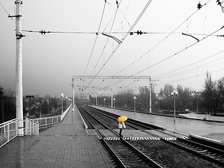 Image showing Rainy way station (BW-Y)