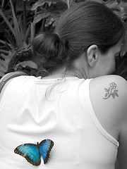 Image showing Blue butterfly on black and white lady