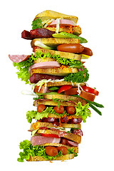 Image showing The tasty sandwich 