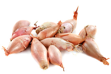 Image showing shallots