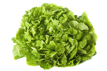 Image showing green salad