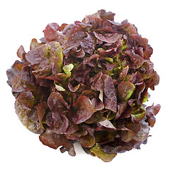 Image showing red salad