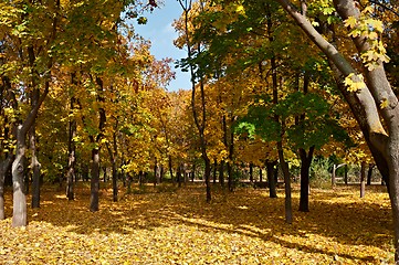 Image showing Autumn Park