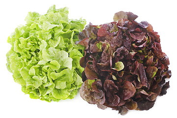 Image showing red and green salads
