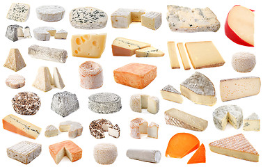 Image showing various cheeses