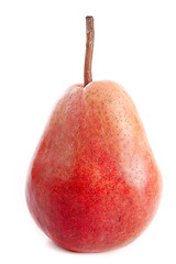 Image showing Louise Bonne pear