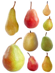 Image showing varieties of pears