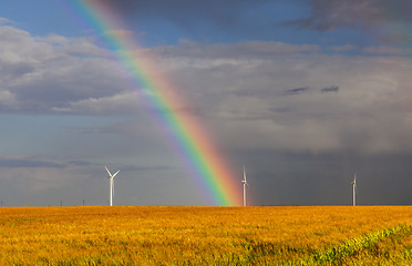 Image showing Rainbow Over the Field