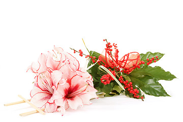 Image showing bouquet of pink lily flower on white