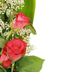 Image showing Bouquet of fresh red roses on white