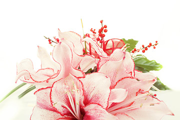 Image showing detail of bouquet of pink lily flower on white