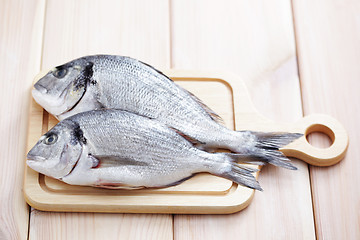 Image showing dorada fish