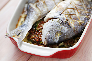 Image showing dorada fish