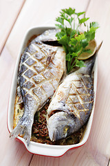 Image showing dorada fish