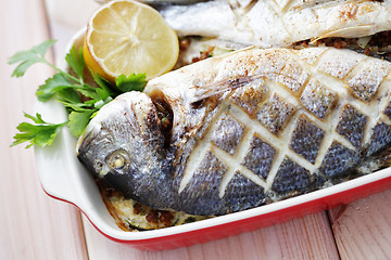 Image showing dorada fish