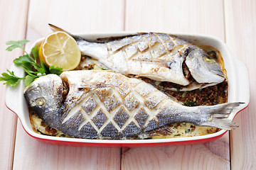 Image showing dorada fish