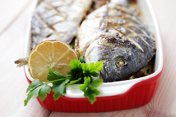 Image showing dorada fish