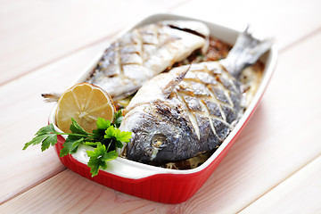 Image showing dorada fish