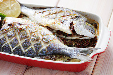 Image showing dorada fish