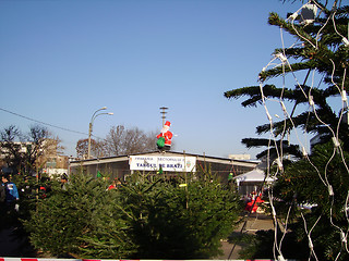 Image showing Christmas trees