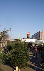 Image showing Christmas trees