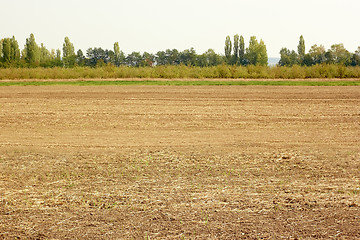 Image showing Autumn field prepared after harvest