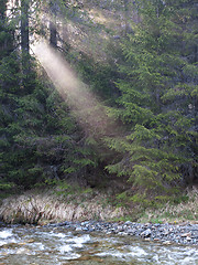 Image showing Mountain forest sunrise