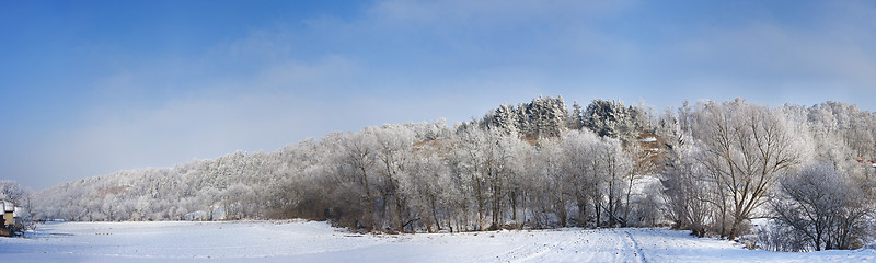 Image showing Winter rural landscape