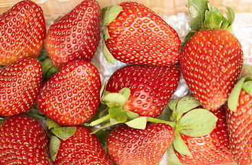 Image showing Fresh strawberry