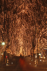 Image showing Sendai December illumination festival