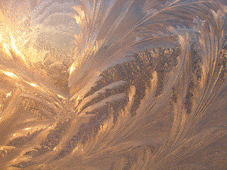 Image showing Ice pattern and sunlight on winter glass