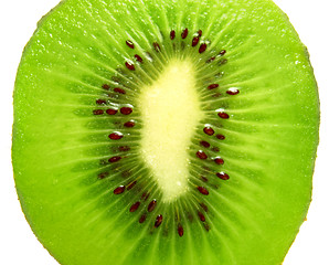 Image showing kiwi