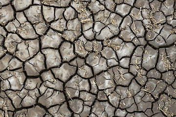 Image showing Dry soil texture