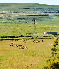 Image showing windmill water pump