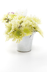 Image showing Tin Buckets with Yellow Chrysanthemum