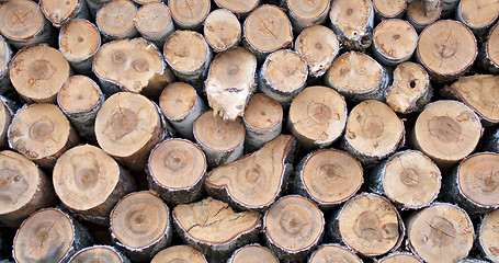 Image showing Neatly Stacked Firewood