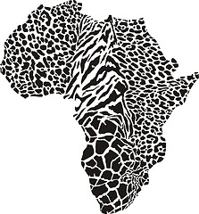 Image showing Africa in a animal  camouflage