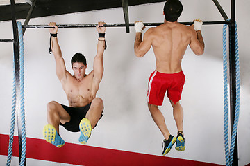 Image showing athletic group executing exercise tightening on horizontal bar. 